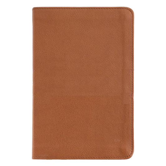NIV Brown Compact Size Thinline Holy Bible Small Print