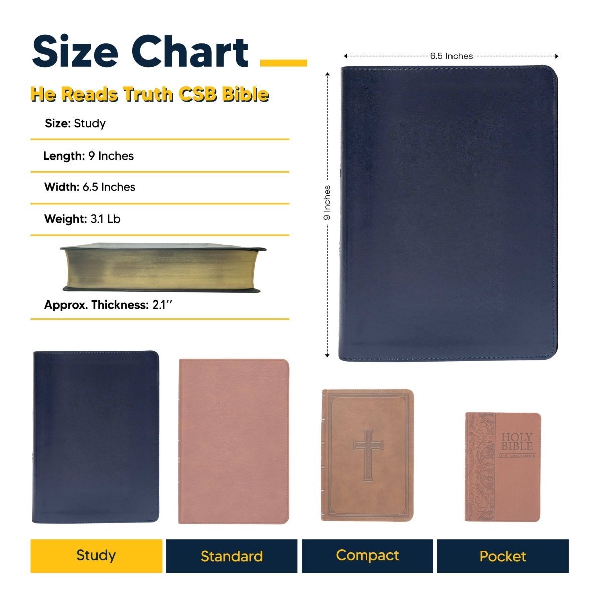 CSB She Reads Blue Study Size Holy Bible Medium Print