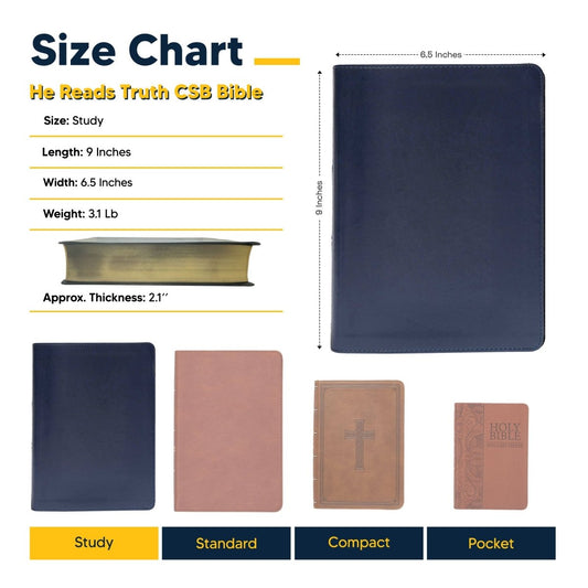 CSB She Reads Blue Study Size Holy Bible Medium Print