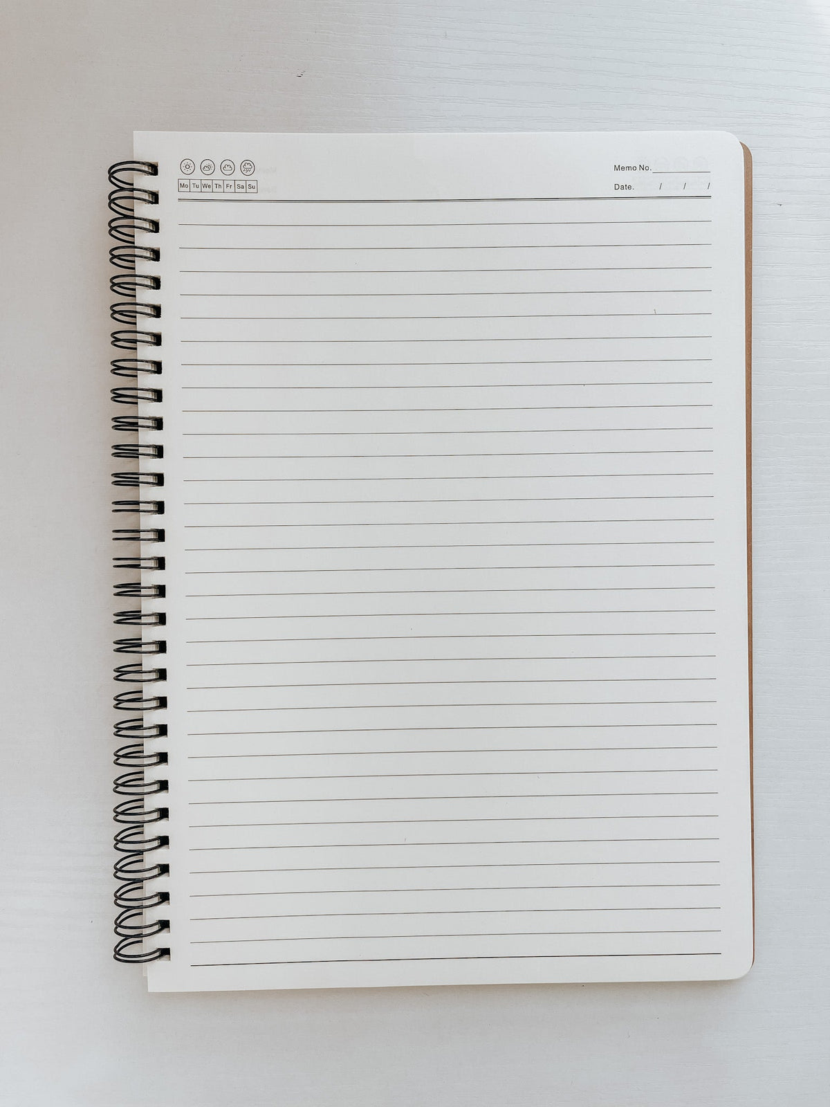 Glory, Large Hand-Painted Spiral Bound Journal
