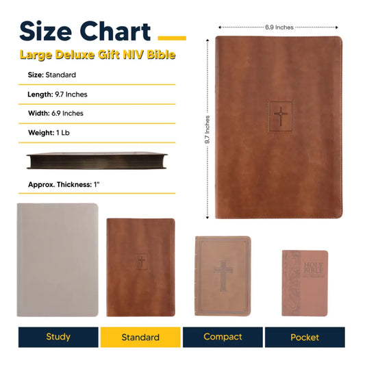 NIV Brown Standard Size Thinline Holy Bible Large Print