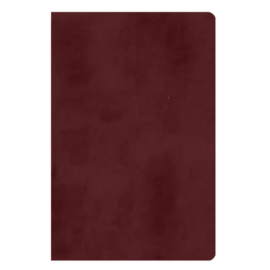 ESV Standard Size TruTone Holy Bible Small Print Red Bible